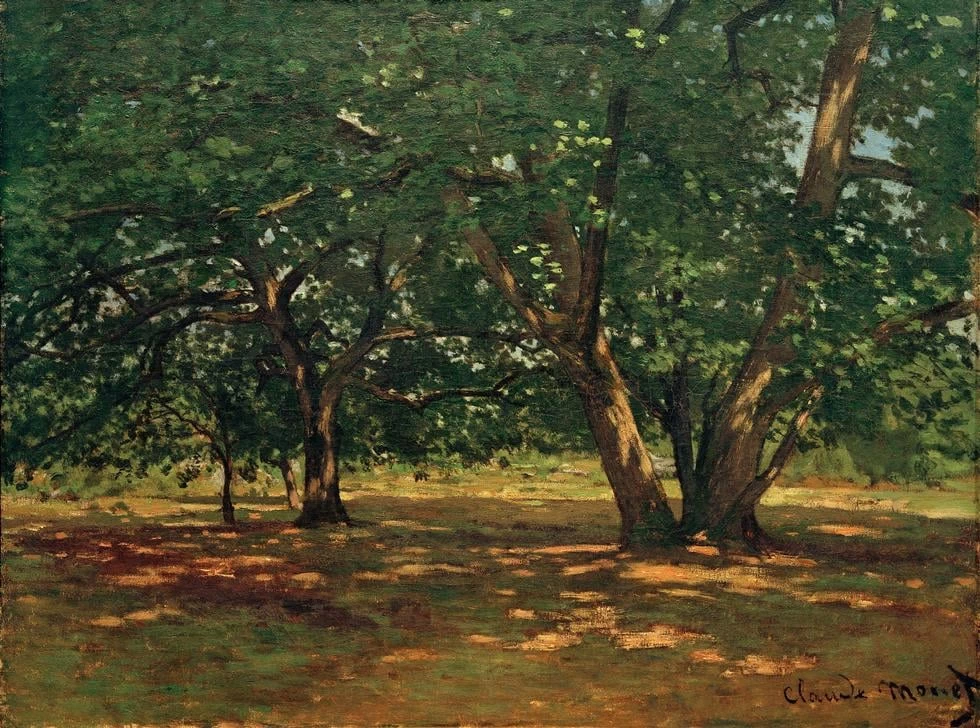 Foresta a Fontainebleau - Winterthur, Kunstmuseum